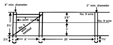 Dimensions of a two-wire vertical trellis (four-arm Kniffin), showing end braces