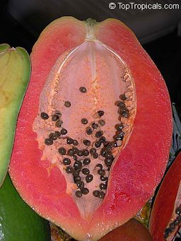 Papaya section