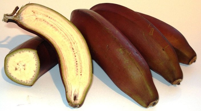 Cardaba Banana Diet For Weight