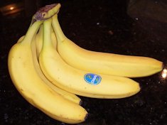The Cavendish bananas sold by Chiquita Brand are of the Grand Nain cultivar.