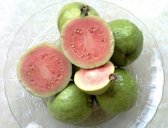 'Vietnamese' Pink Guava