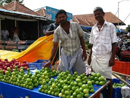 Many vendors were insistent we take photos of them, obviously proud of their meticulously stack tables of fruits and vegetables. India, Koyambedu Market