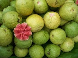 Guava, photographed in Bangalore