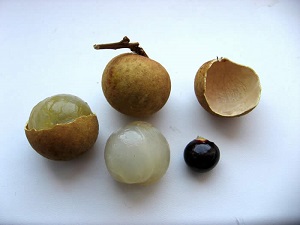 Longan fruit, skin, pulp and seed