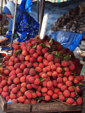 Lychees for sale at a Malaysian fruit stall