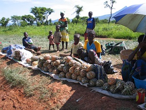 Pineapple vendors along the road from Huambo to Quibala in Angola