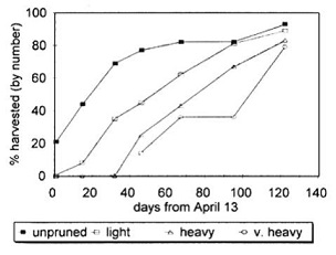 Fig. 4. Cumulative progression of harvest season