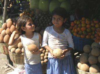 tropical apricot at market