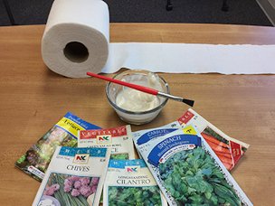 Seed tape supplies: seeds, toilet paper, flour "glue," and a paint brush.