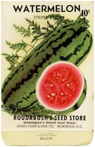 Roudabush's seed store