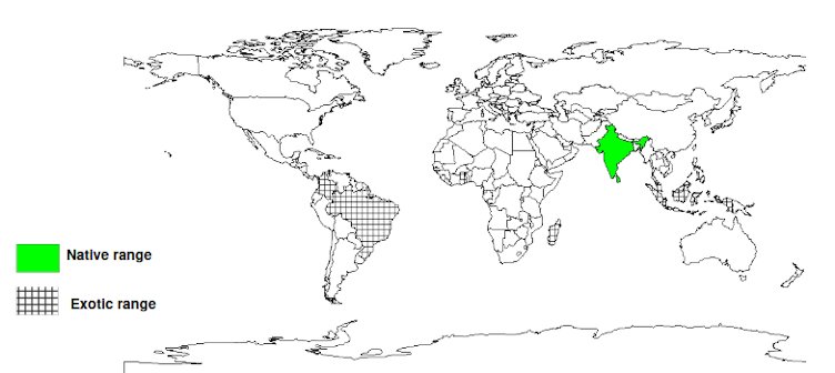 Documented species distribution