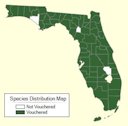 Plant Distribution Map of the Muscadine Grape in Florida
