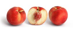 White peach and its cross section isolated on a white background