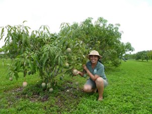 One mango, perfect size