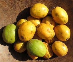 Spondias cytherea. In the local Muani language: "embe gongo" ("embe" means "mango"). This fruit is rare in Mozambique, and the tree is only found cultivated in the coastal zone of the north.