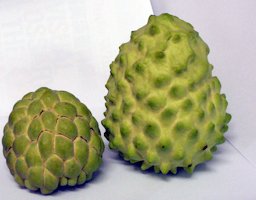 Sugar apple (left) and Atemoya (right)