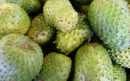 Annona muricata (guanábana) at the market