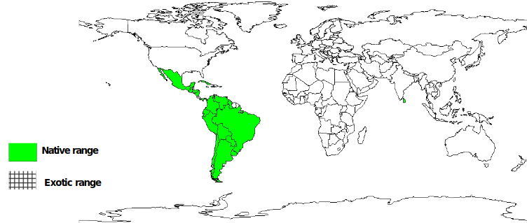 Documented species distribution