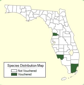 Avocado distribution map