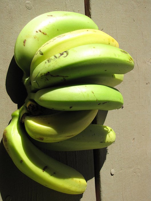 Gran Nain Banana 2 FREE SHIPPING.