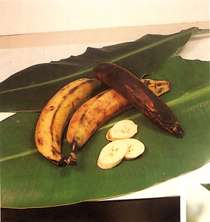 Plate IV: PLANTAIN, Musa × paradisiaca