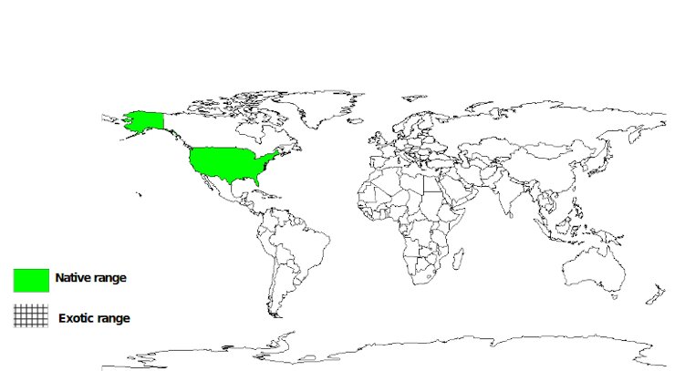 Documented species distribution