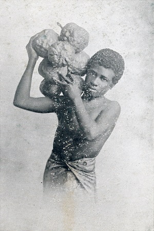 Young man carrying fruit of a breadfruit tree, Fiji