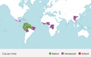 Credit: Carrie Stevenson, UF IFAS Extension Escambia county Map of worldwide cacao tree distribution. Diagram courtesy Kew Gardens.
