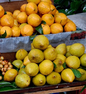 Pouteria campechiana fruits, sold at Ragunan Zoo, Jakarta