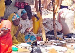 This picture was snapped at a local market, in kano state depicting old women selling locust beans (locally referred to as 'daddawa' in hausa language).