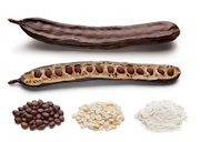 Carob Bean Gum