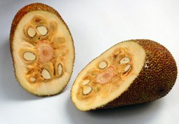 Fruit split open to reveal seeds