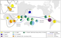 Distributions of Indo-Atlantic and Pacific coconut subpopulations
