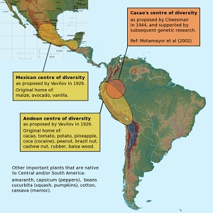 Cacao's center of diversity