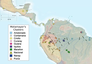 Overlay of cocoa clusters