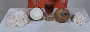 Fresh mature grated coconut meat, opened coconut, coconut healing oil, 2 "mata" (eyes) rarest coconut and Fresh mature grated coconut meat, respectively (l-rt).