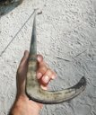 Sharp edged hook used for coconut plucking in the Maldives