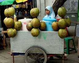 A young lady sells fresh young iced coconuts in Old Town, Jakarta, Indonesia
