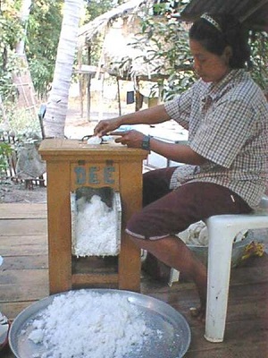 Woman grinding coconuts in Ban Dongphayom, Phitsanulok, Thailand