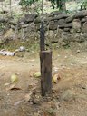 Sri Lanka Tool used to open coconuts in Sri Lanka