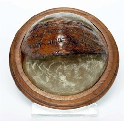 Coconut Shell Paperweight