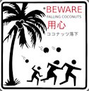 'BEWARE FALLING COCONUTS' sign in Honolulu, Hawaii