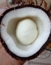 Sprouted coconut