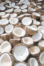 Coconuts drying before being processed into copra, Polomuhu village, Central Province, Solomon Islands