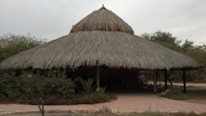 Shack made of date branches at Neot Semadar, Israel