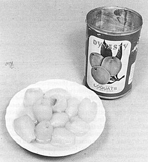 Canned Loquats