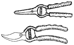 Pruner or secateurs