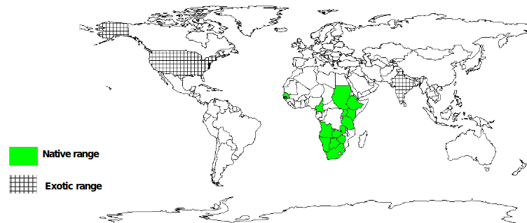 Documented Species distribution