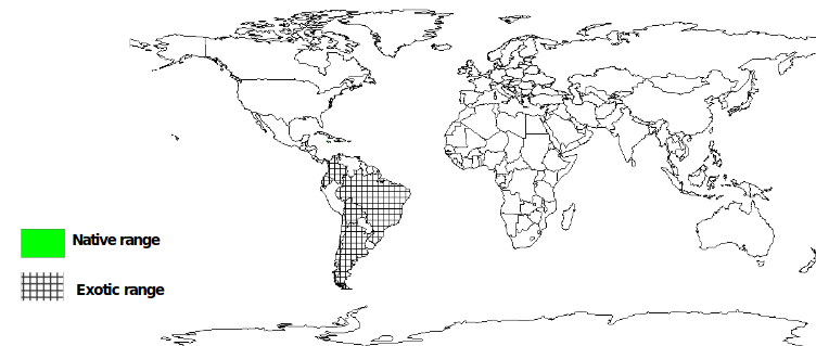 Inga vera Documented Species Distribution