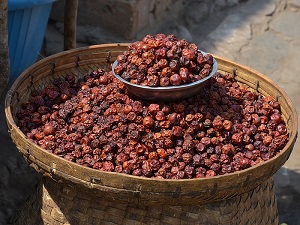 Dried masau fruits for sale
